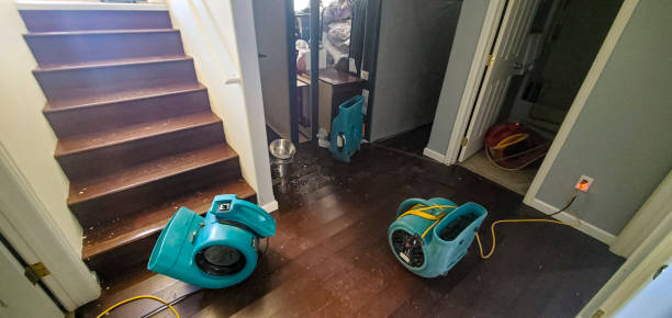 Best Carpet water damage restoration  in Fort Oglethorpe, GA