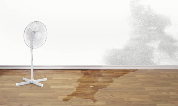 Best 24-hour water damage restoration  in Fort Oglethorpe, GA