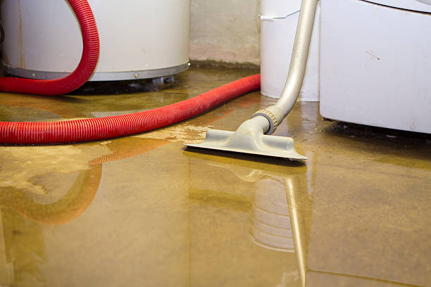 Best Mold removal after water damage  in Fort Oglethorpe, GA