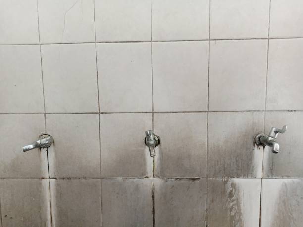 Best Water damage mitigation services  in Fort Oglethorpe, GA