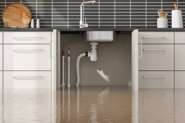 Best Mold removal after water damage  in Fort Oglethorpe, GA