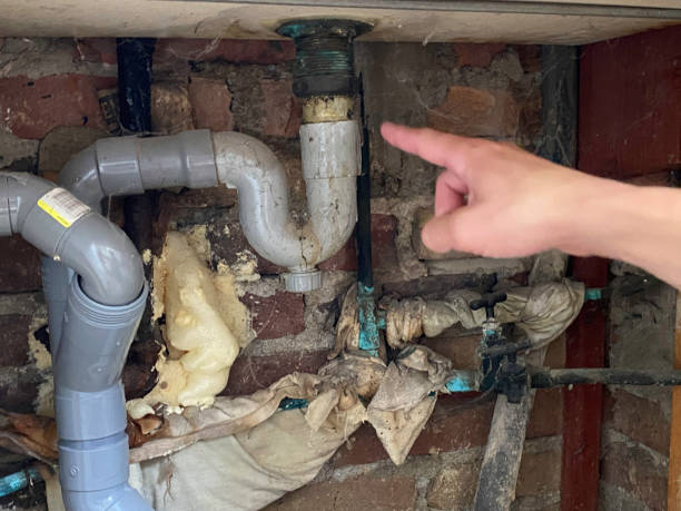 Best Professional water damage repair  in Fort Oglethorpe, GA