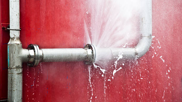 Best Ceiling water damage repair  in Fort Oglethorpe, GA